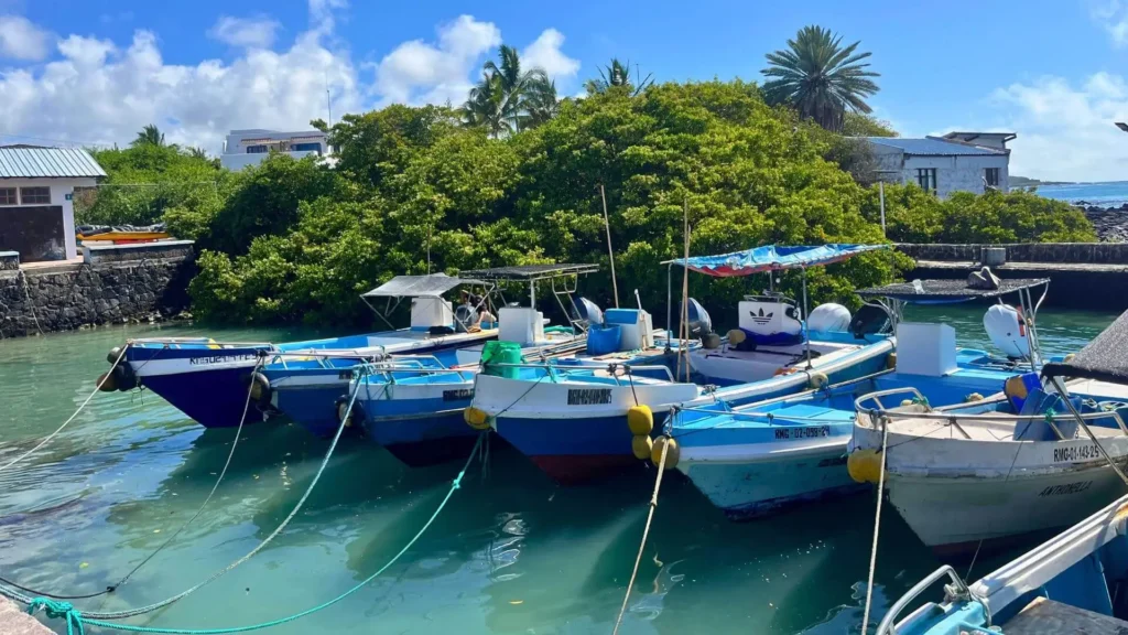 A row of fishing boats in downtown Puerto Ayora.