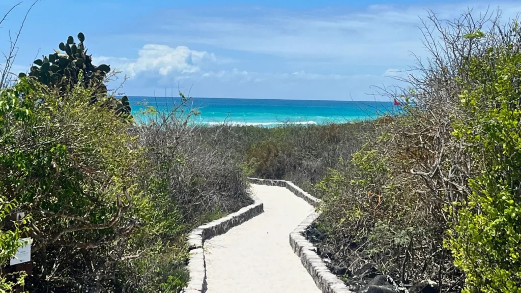 A wooden walkway with a view of the ocean at Tortuga Bay.